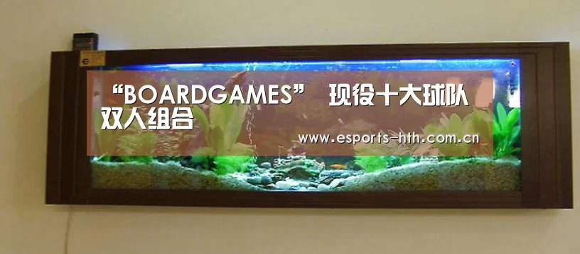“BOARDGAMES”
现役十大球队双人组合(图2)