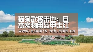 猫狗武将来也:日本宠物用盔甲走红引发追捧-BOARDGAMES(图4) 猫狗武将来也:日本宠物用盔甲走红引发追捧-BOARDGAMES(图4)