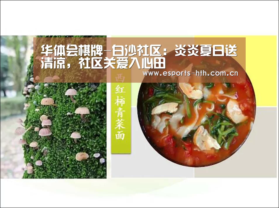 华体会棋牌官网