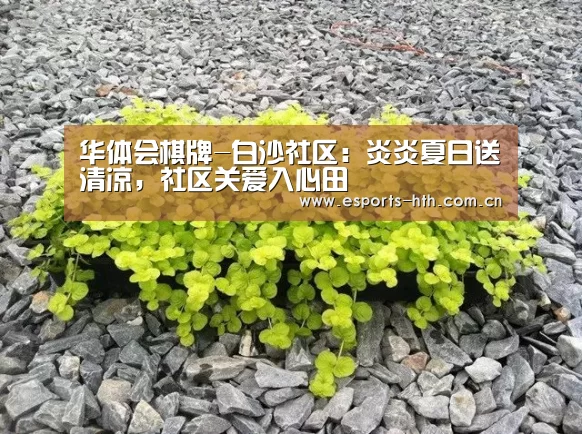 华体会棋牌-白沙社区：炎炎夏日送清凉，社区关爱入心田(图1)