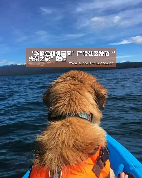 华体会棋牌