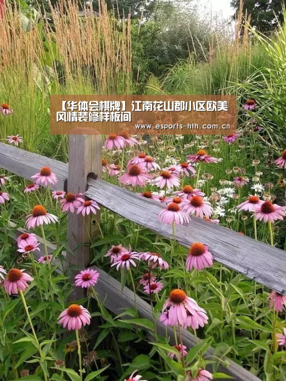 【华体会棋牌】江南花山郡小区欧美风情装修样板间(图1) 华体会棋牌官网
